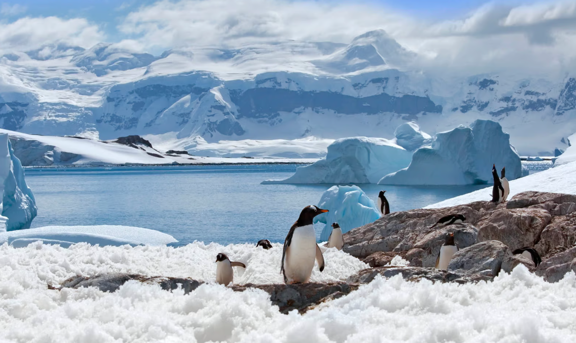 Luxury 5 Star Antarctica Expedition